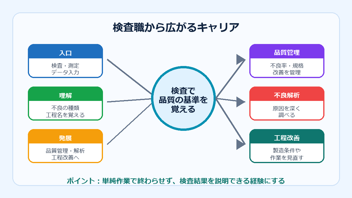 検査職から品質管理や解析へ広がるキャリアの図
